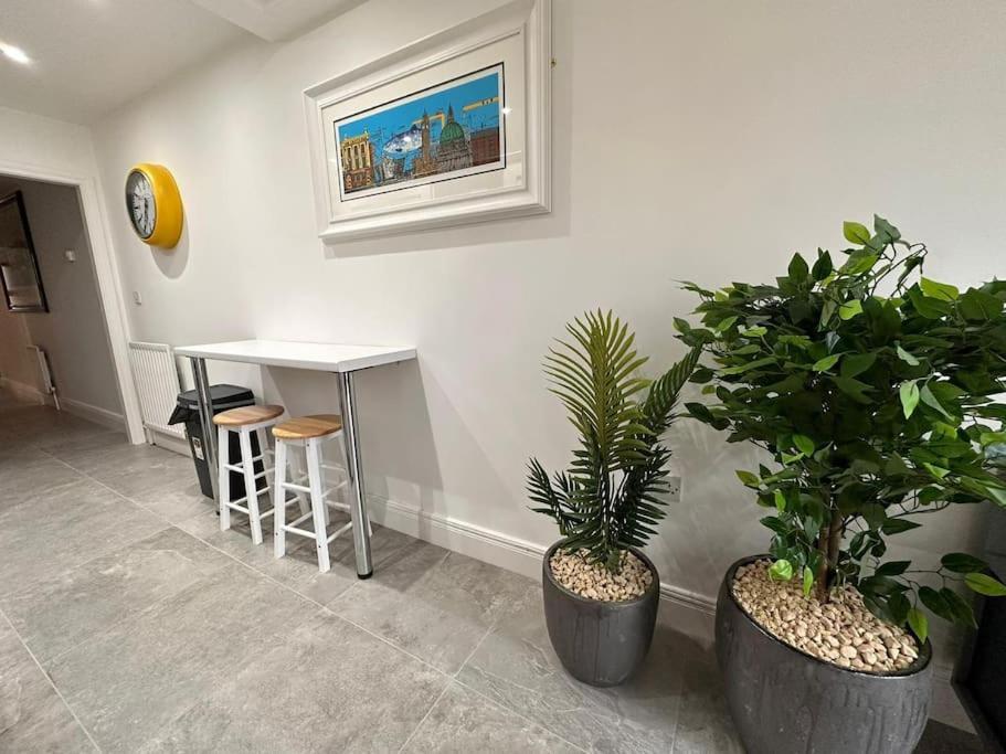 Boutique Style Apartment Belfast Extérieur photo